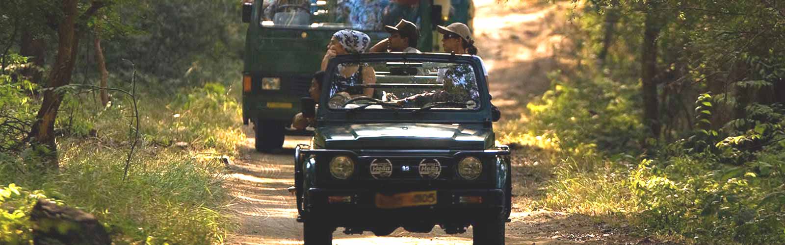 corbett national park jeep safari